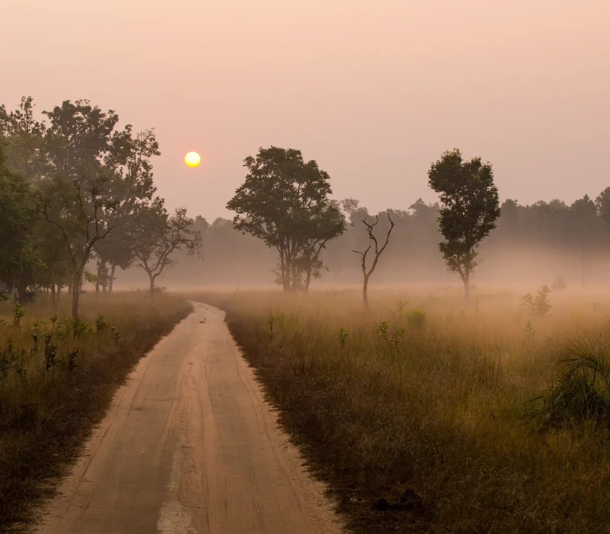 Bandhavgarh Fort
