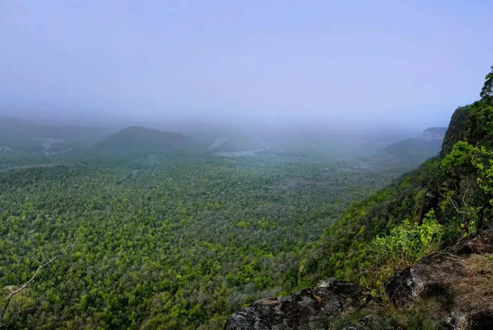 Bandhavgarh