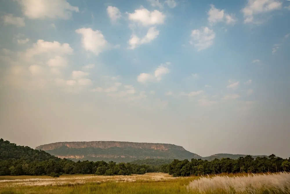 Bandhavgarh
