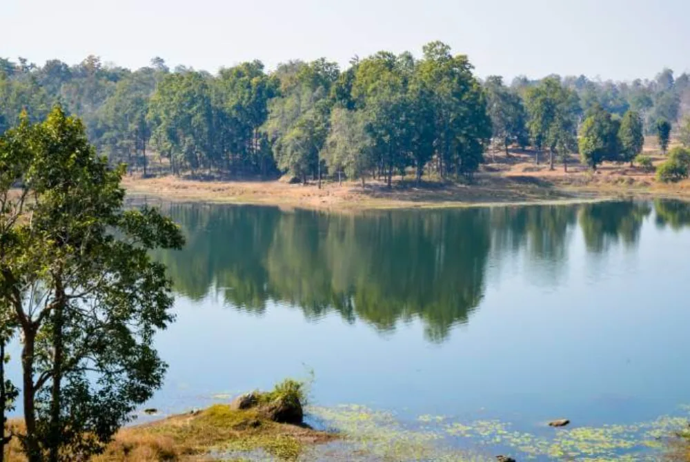 Bandhavgarh