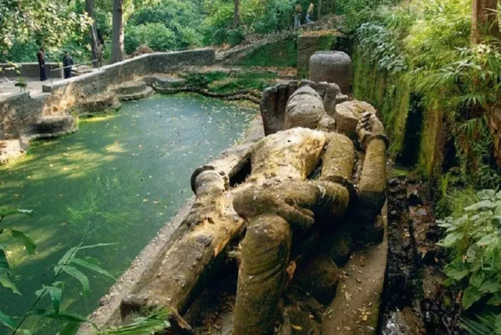Bandhavgarh