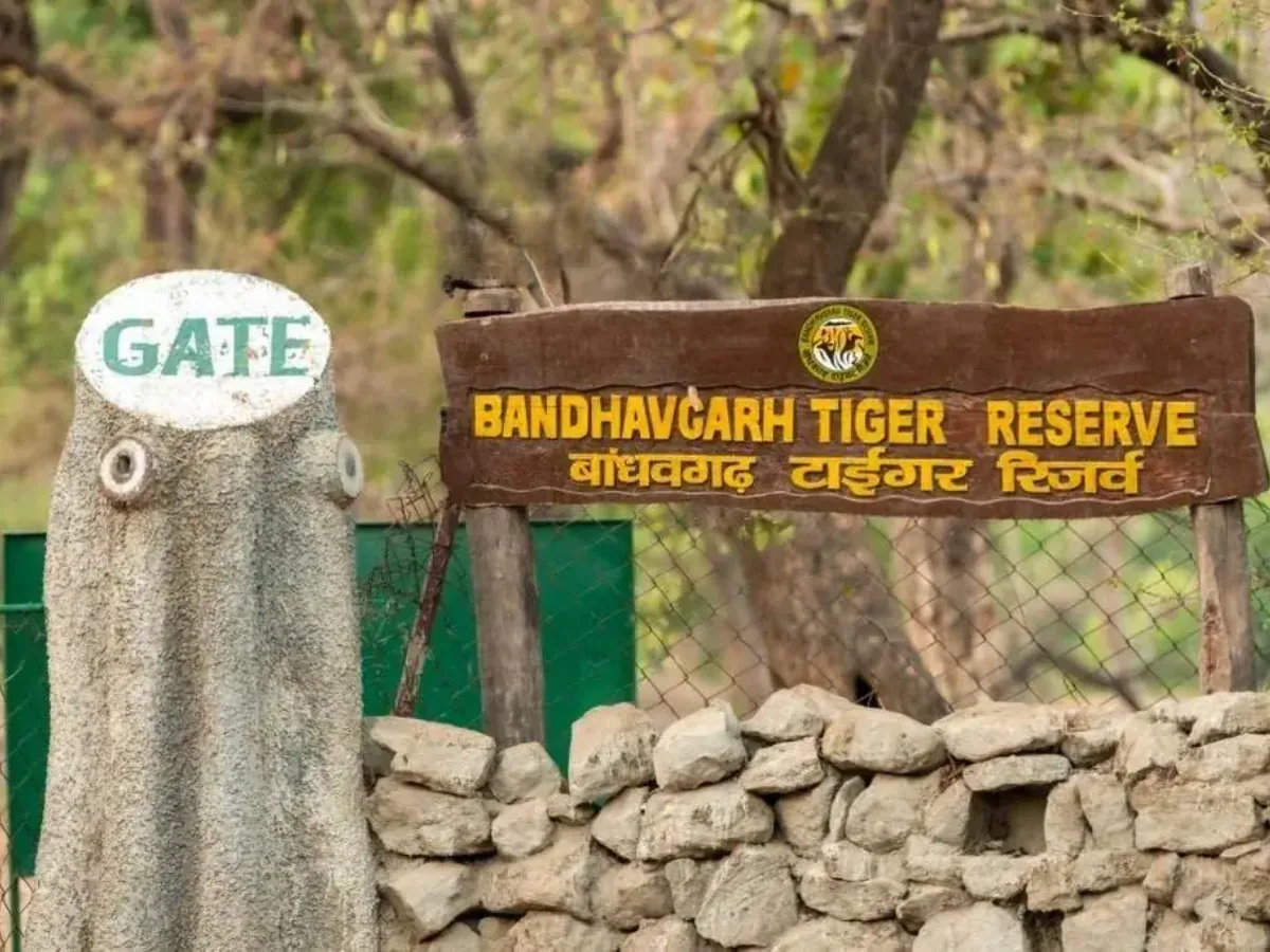 Bandhavgarh National Park