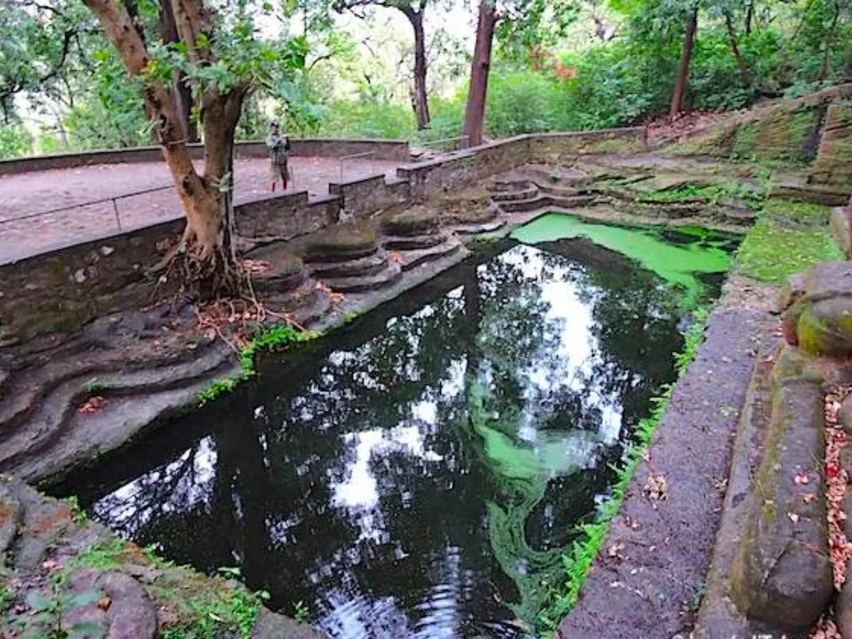 CM6HnIkUwAASjJs e1665128738872 - Rivers, Bandhavgarh