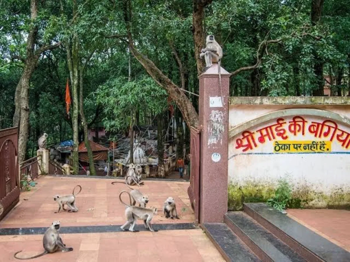Mai ka Bagiya