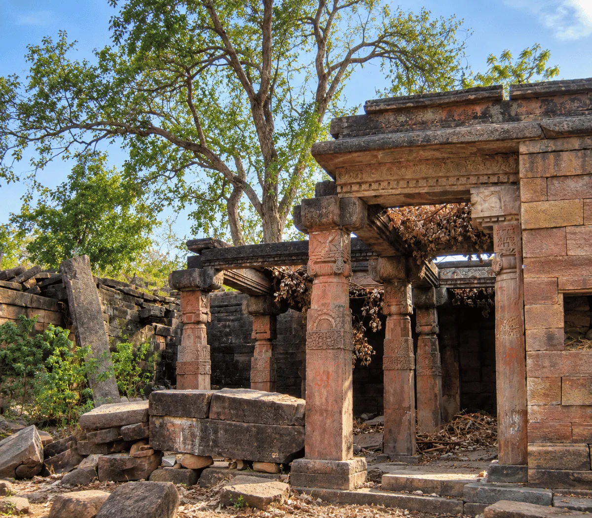 Chanderi Fort