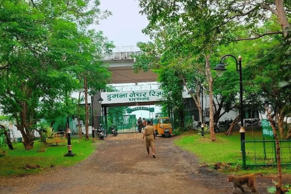 Jabalpur