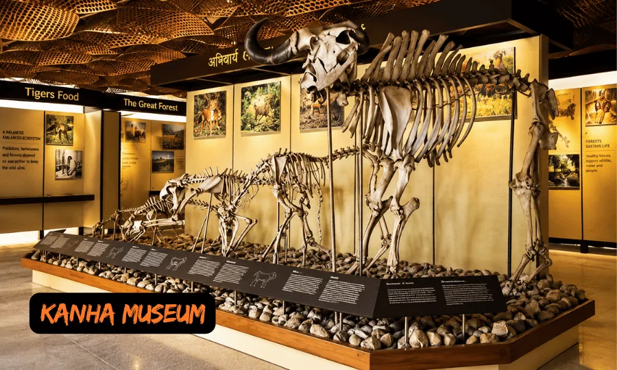 Kanha Museum