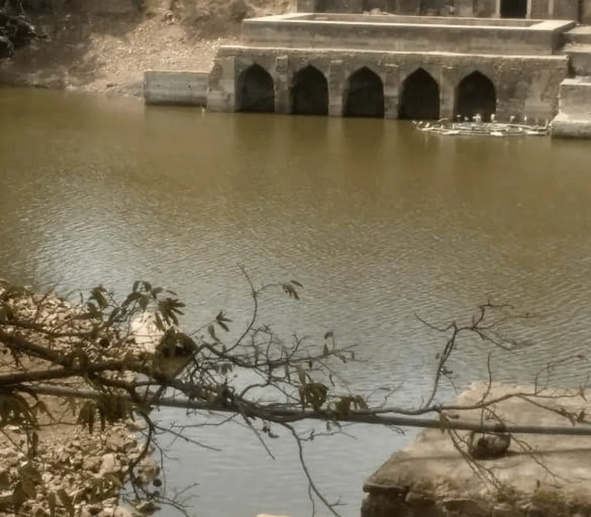 Lohani caves