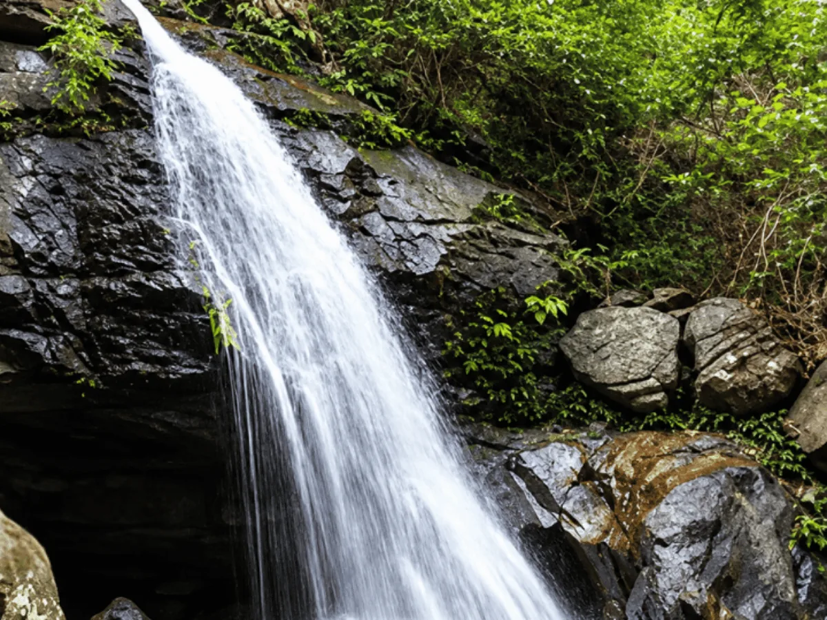 Jamuna Prapat (Bee Fall)