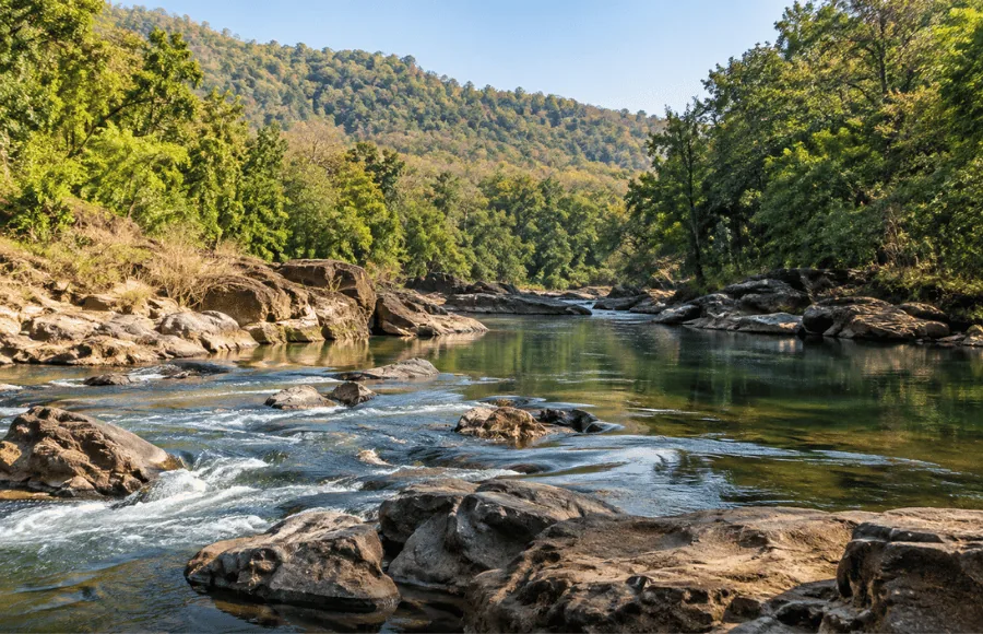 Satpuranationalpark riverbanner e1672395451934 - Rivers, Pachmarhi