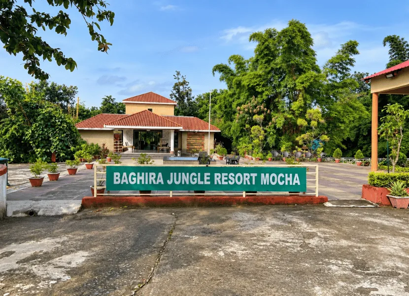 Baghira Jungle Resort - Baghira Jungle Resort
