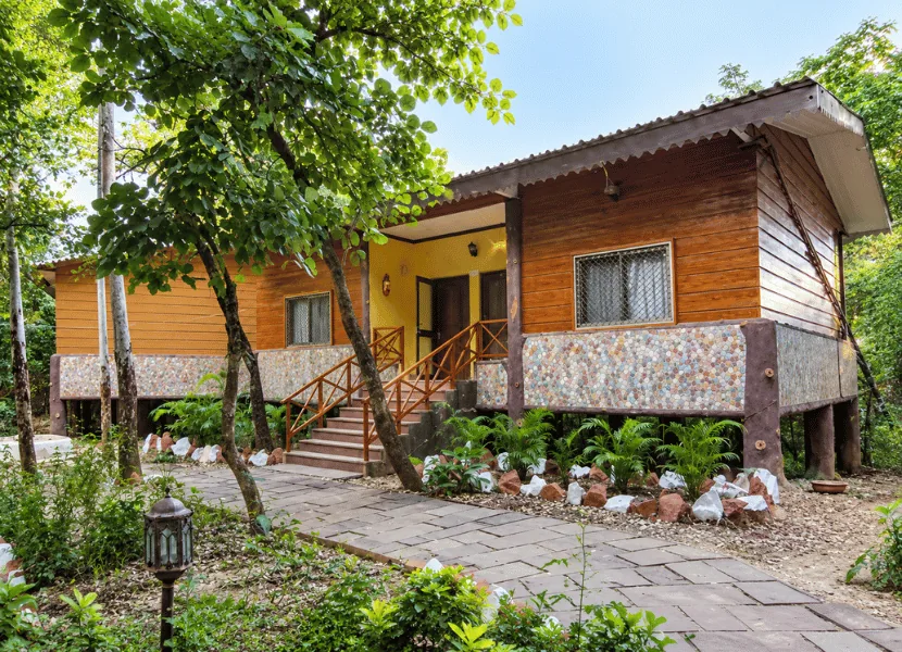 Jungle Resort - Jungle Resort