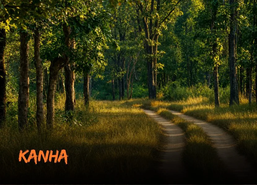 Kanha - Wild Kanha