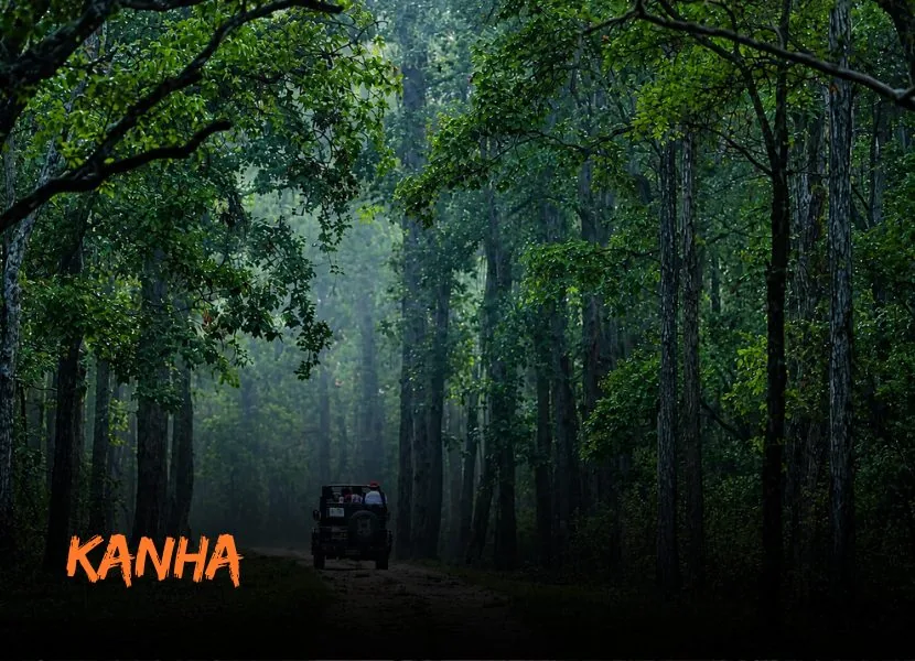 Pachmarhi - Pachmarhi Romantic Escape