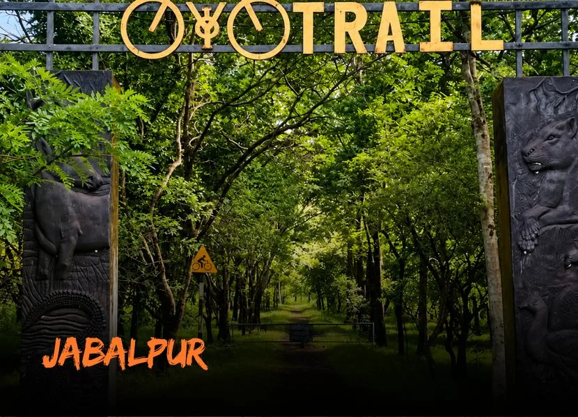 Jabalpur - Call of the Wild