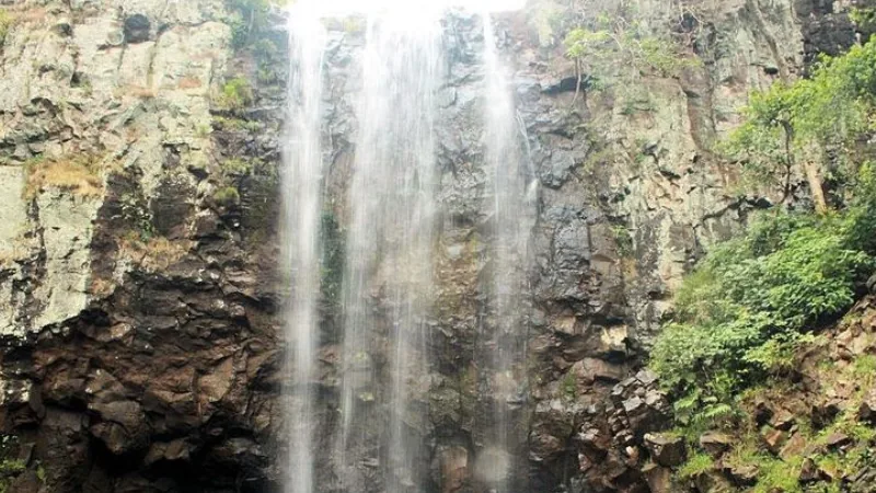 Shambhu Dhara