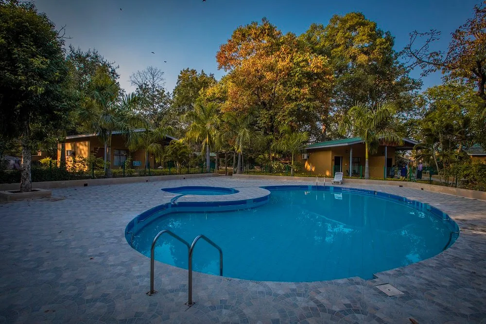White Tiger Forest Lodge - White Tiger Forest Lodge