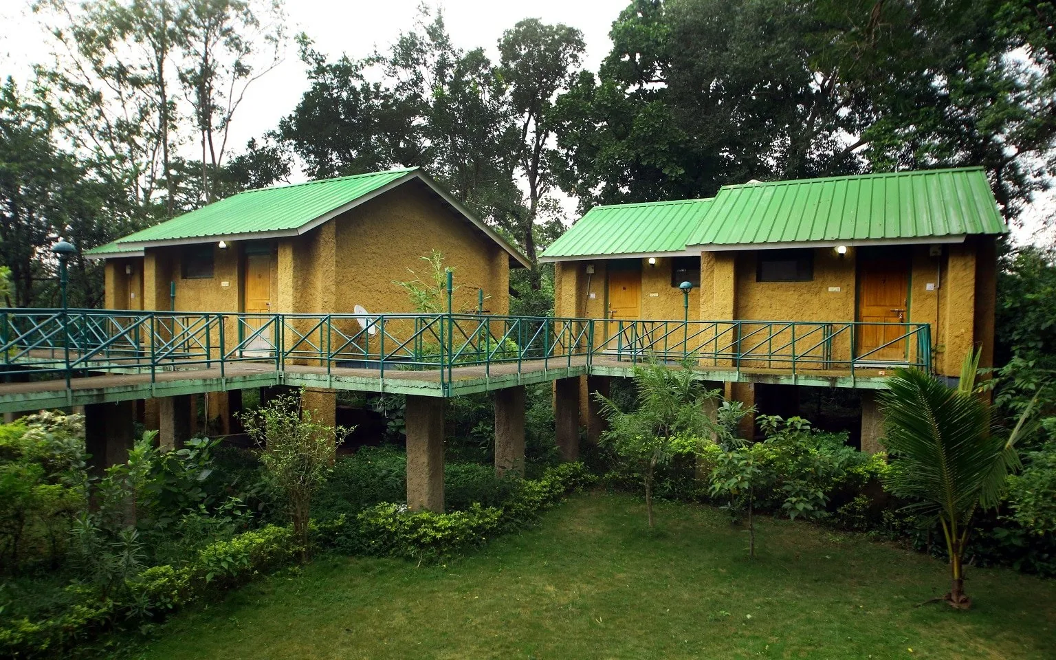 White Tiger Forest Lodge - White Tiger Forest Lodge