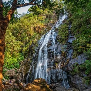 Bee Falls, Pachmarhi