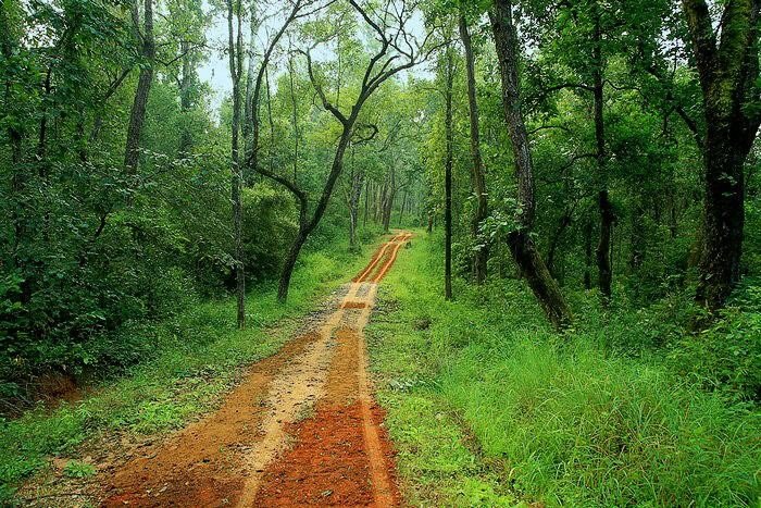 Kanha Museum — Kanha