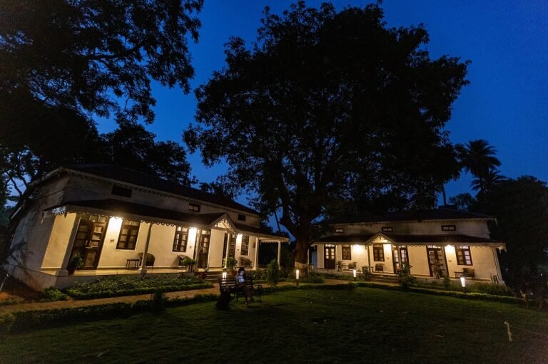 Amaltas, Pachmarhi