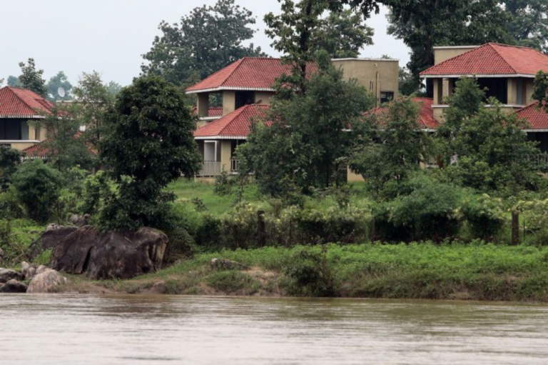 Baghira Jungle Resort, Mocha