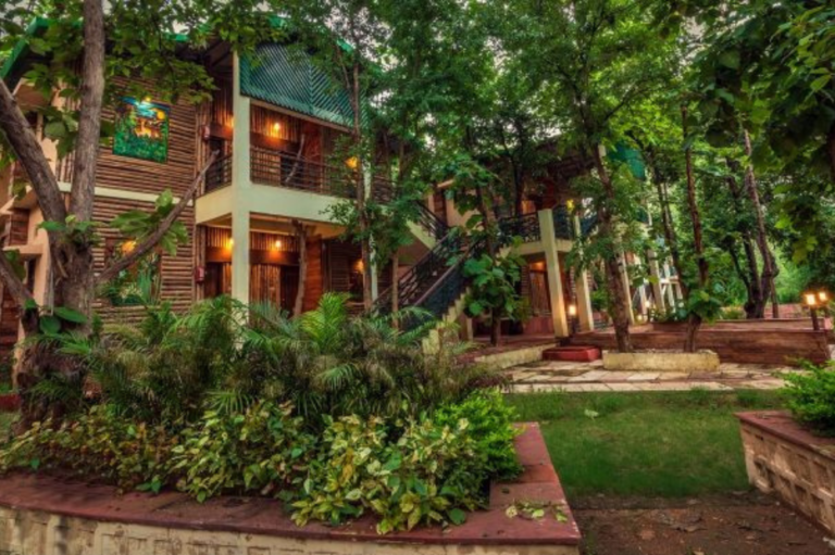Jungle Camp, Panna
