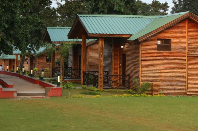 Jungle Resort, Sarhi